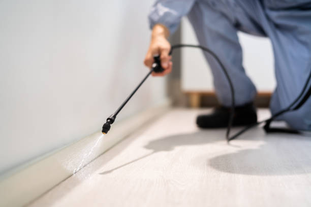 Licensed Pest Control service in Freeland, MI - Show Me Pest Control