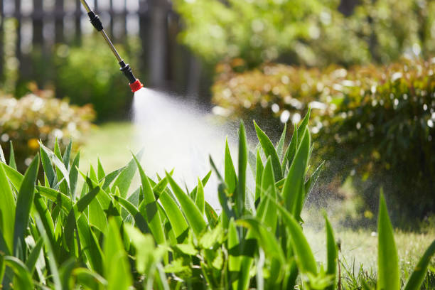 Tamper-Resistant Bait Stations for Rodents in Freeland