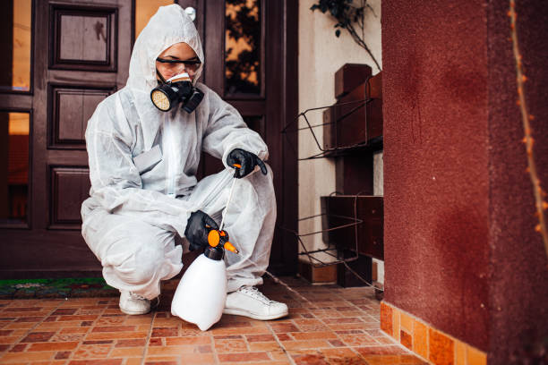 Attic and Crawl Space Rodent Treatment in Freeland