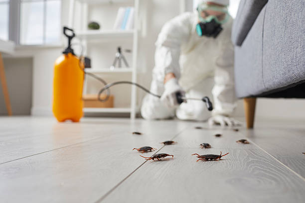 Commercial Rodent Management in Freeland